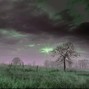 cjwitdagang - Storm