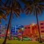 cjwitdagang - Miami