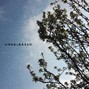 WTSN - Cosmic Age