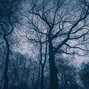 coldmorgn - lies