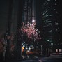 coldmorgn - flowers