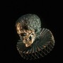 $hadow Beatz - | DARK SHADOW |