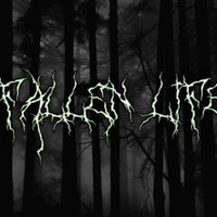 fallen life