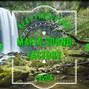 Mafia Sound Factory - Lavida