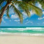 BODA - Beached