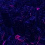 IBleedIcare - SENSES x BLADEE x 8485 GLITCHCORE/HYPERPOP Type Beat - Eternal soul