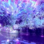 ComteBeats - Lotus