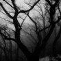 Milord - where are dead friends
