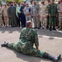 DIKLORDEFENIL - ARMY