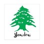 Yondre - 985