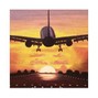 youngez4dub - Take Flight (collab)
