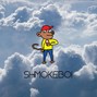 shmokeboi - Hold Up