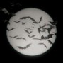 GLOOMYMIND - SWEET DREAMS