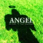 DENVN  - ANGEL 