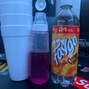 SWAMPKILL - xan faygo