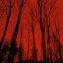 SWAMPKILL - pain rain instrumental