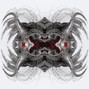 CIDISTIC - F.T.P (BUY 1 GET 1)