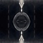 CIDISTIC - Discretion (BUY 1 GET 1)