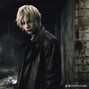 shinju - labyrinth