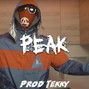 Tekky Beats - "PEAK" VOCAL ETHNIC UK DRILL BEAT | PROD TEKKY X NAESEAN