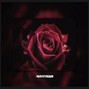 Psychorium - Roses