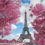 Twill - Torre Eiffel