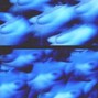 @spaceghostdrew - MGP