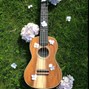 ZBeatz - "Dream Night" Ukulele Type Bea