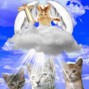 bbyazul - gato (prod. bbyazul + freger)