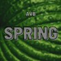 AVB - Spring