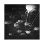 Oazi - kid in the night