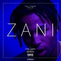 ZANI