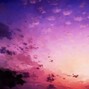 zayrøndøn - hazydayz