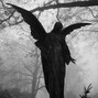 deadmanwalking - Birds of a Feather