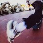 justxrolo - skating with the homies