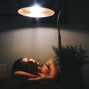justxrolo - Night Life