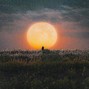 justxrolo - Humblebee