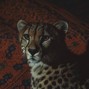 justxrolo - predator