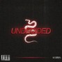 Zona Beatz - Undecided