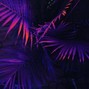 asezeu  - Aztex