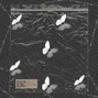 mndezrsa - DRAKE X ASAP ROCKY WHAT NOW