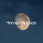 Praktikos - Moonlit Glances