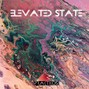 Praktikos - Elevated State