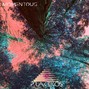 Praktikos - Momentous 
