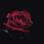 Maximilian - heartbreak