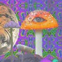 Quillennial Beatz - How um livin