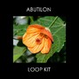 Ton-E - Abutilon Loop Kit