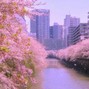 Lil Momon - MISS