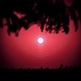 quintessence0fn1l - Playback