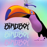 BirdboY